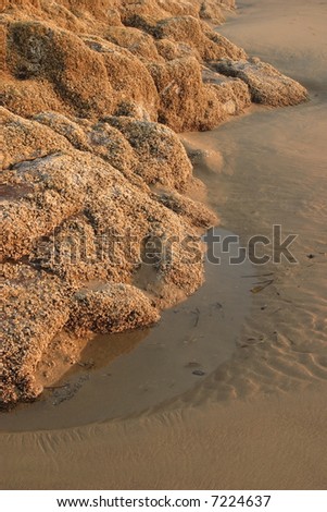 Rock and sand at low tide - Cape Lookout State Park