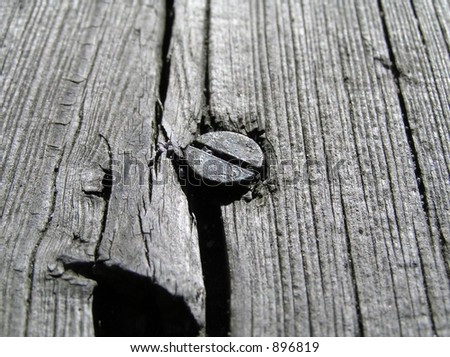 Rusty Nail In Wood