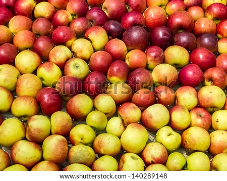 Collection of red and yellow apples for sale.