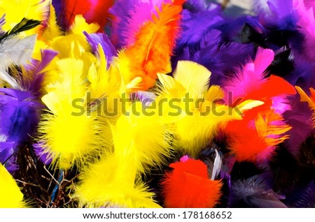 Birch twigs with feathers in many different colors as decoration at Easter.