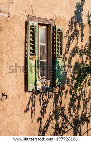 Window with green shutters and shadow picture of a tree on the wall.
