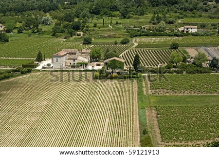 Agricultural landscape with buildings, fields and vine yards.