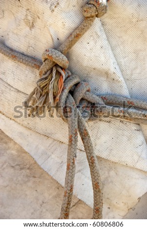 Knotted ropes belonging to a boat.
