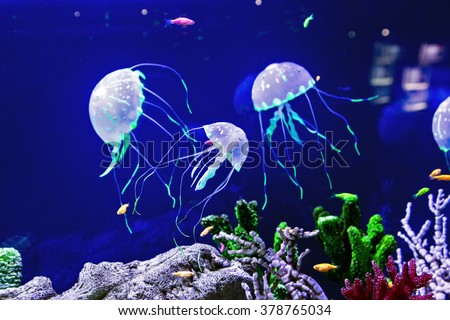 Beautiful jellyfish, medusa in the neon light with the fishes.