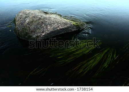 Granite stone with water plants underwater. Sky is reflected by water surface.