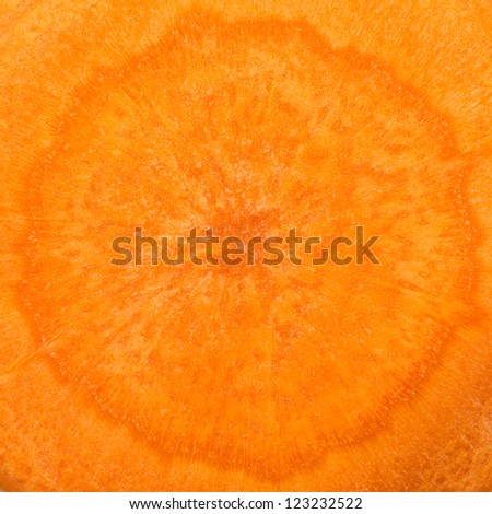 Closeup view of fresh carrot cut