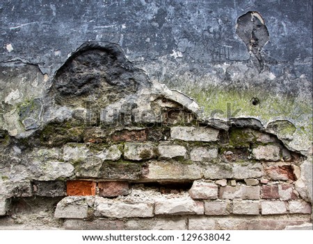 Colorful broken brick wall with mold and moss