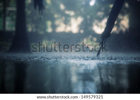 Drops of heavy rain in the tropical jungles