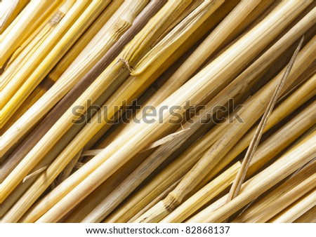 Close-up of dry straw. Use for background of texture