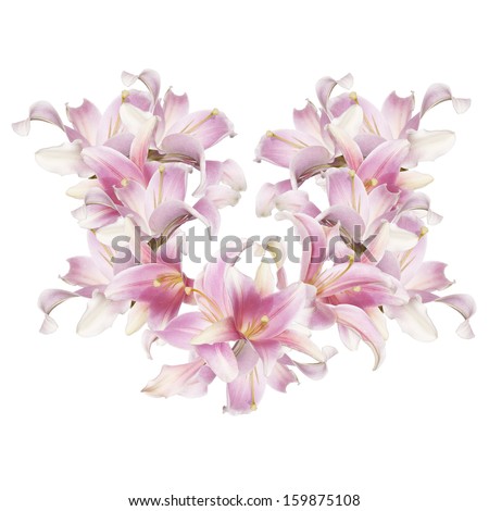 Abstract love Heart of the petals flowers exotic pink lily Abstract love Heart of the petals flowers exotic pink lily
