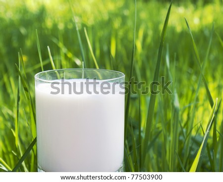 Fresh natural milk