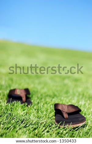 Summer Sandals in the grass under a blue sky