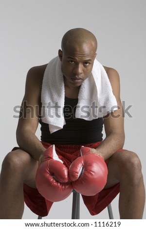 Boxer Sitting