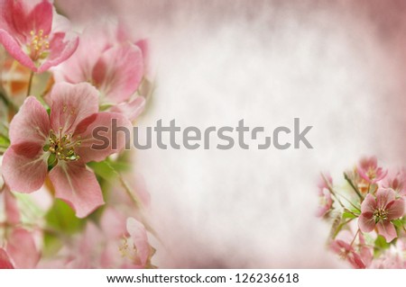 beautiful blur pink flowers made with color filters