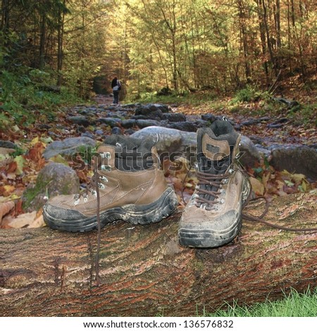 Pair of hiking boots  on fallen tree trunk