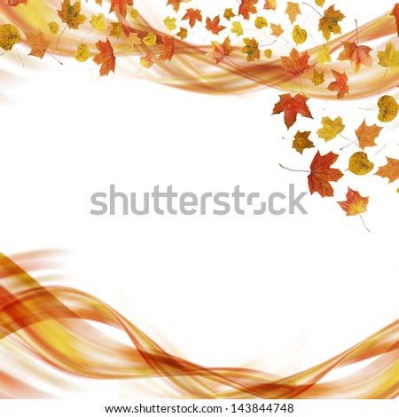 Autumn leaves design elements