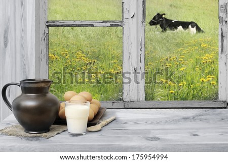Countryside view of the meadow and a cow seen through the old window.