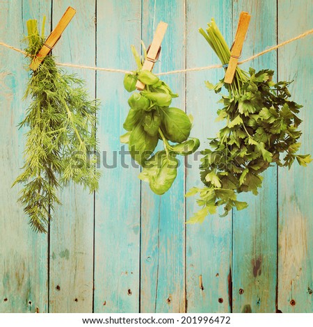 Assorted hanging Herbs  in vintage style