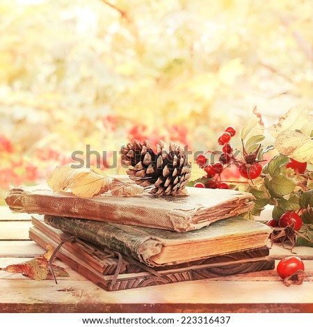 old books, leaves and cone  in autumn scenery