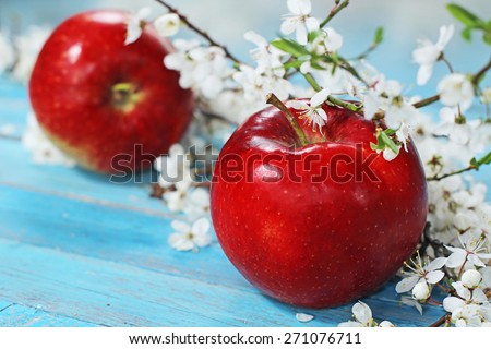 apple flowers and ripe red apples on blue wooden background