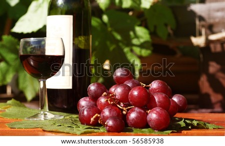 [Obrazek: stock-photo-wine-glass-grapes-and-bottle...585938.jpg]