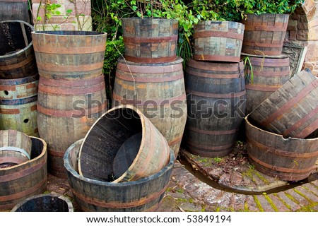 A group of old wooden wine and beer barrels recycled for garden planters.