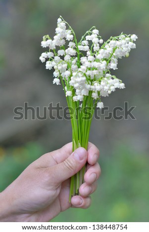 bouquet of fresh lilies of the valley in a female hand