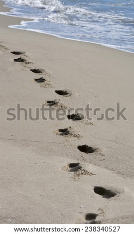 footprints on a sandy beach at the edge of the sea. Tuscany, Italy.