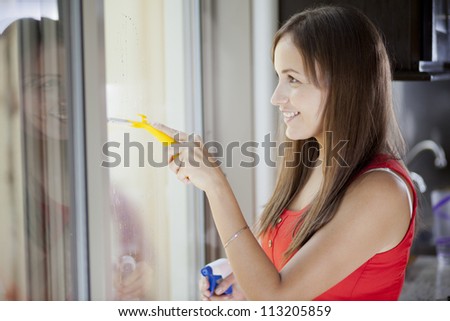 Beautiful housewife cleaning a door glass