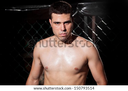 Portrait of a mixed martial arts fighter ready to fight in a fighting cage