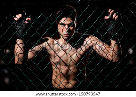 Dramatic Portrait Of A Mma Fighter Grabbing The Fighting Cage And Intimidating His Opponents