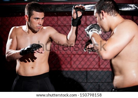 Mixed martial arts fighters during a match in a fighting cage