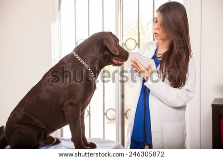 Cute young veterinarian using a tablet computer to review a dog\'s medical history