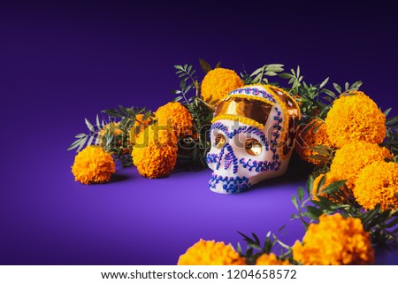 High contrast image of a sugar skull used for \
