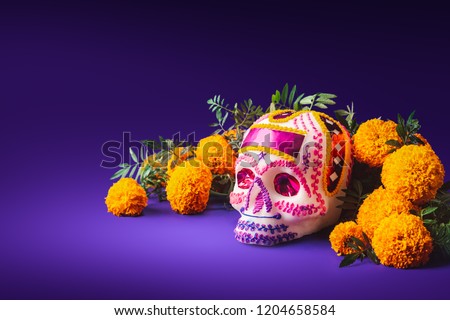 High contrast image of a sugar skull used for \