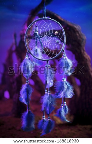 Dreamcatcher hanging in a forest at night