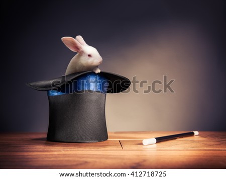 photo composite of a rabbit in a magician hat