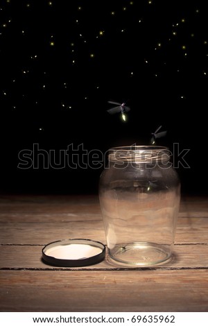 stock photo : real fireflies in a jar