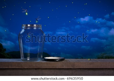 real fireflies in a calm night