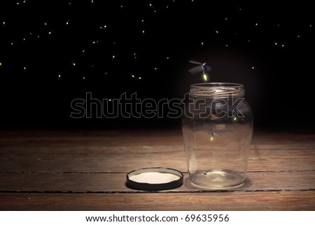stock photo : real fireflies in a jar