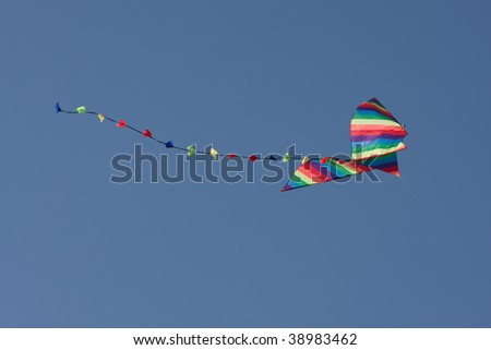 Flying the kite