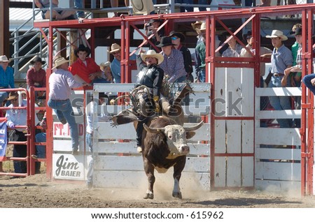 Bull rider