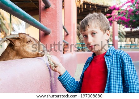 Beautiful funny child feeding a goat in a zoo. Help concept.