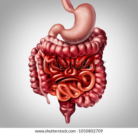 Irritable bowel syndrome diagnosis and symptoms of intestine and colon inflammation pain as intestines shaped as an angry face with 3D illustration elements.