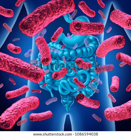 Intestine bacteria and gut flora or intestinal bacterium medical anatomy concept as a 3D illustration.