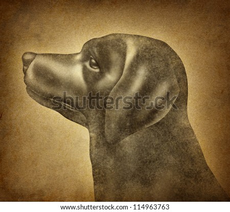 Grunge Dog on an old parchment paper texture as a symbol of veterinary ...