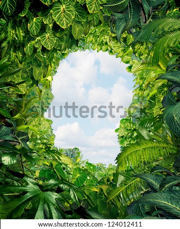 Find your way out from the dark danger of the jungle of uncertainty and confusion with rainforest plants in the shape of a human head leading to an open sky of freedom.