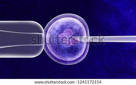 Gene editing in vitro genetic CRISPR genome engineering medical biotechnology health care concept with a fertilized human egg embryo and a group of dividing cells as a 3D illustration.
