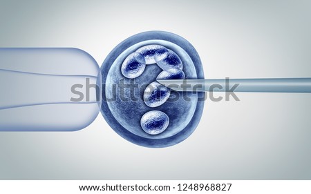 Genetic editing questions and gene research in vitro genome engineering and medical biotechnology health care concept with a fertilized human egg embryo as a 3D illustration.