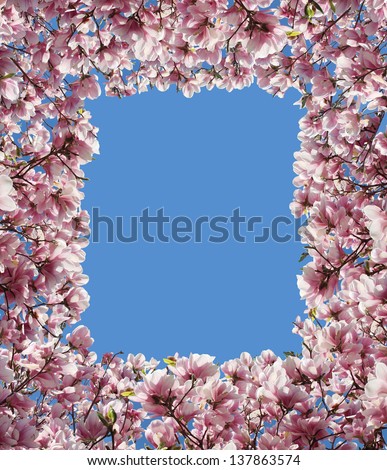 Magnolia flower border frame with pink petal blossoms from a spring tree with sprouting green leaves as a decorative design element representing the beauty of nature and rebirth.